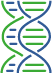 DNA Strand Icon
